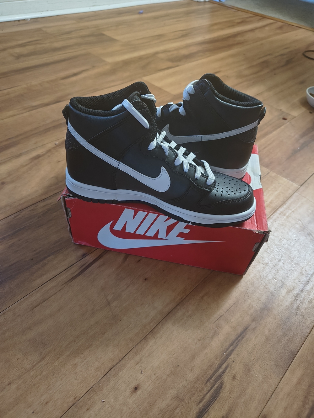 Nike Dunk HI Kids Black/White High-Top Sneakers